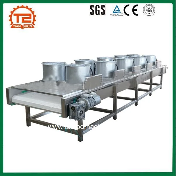 Industrial Drying Machine Conveyor Mesh Belt Dryer for Potato Chips